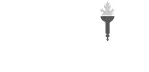 Company Logo 1